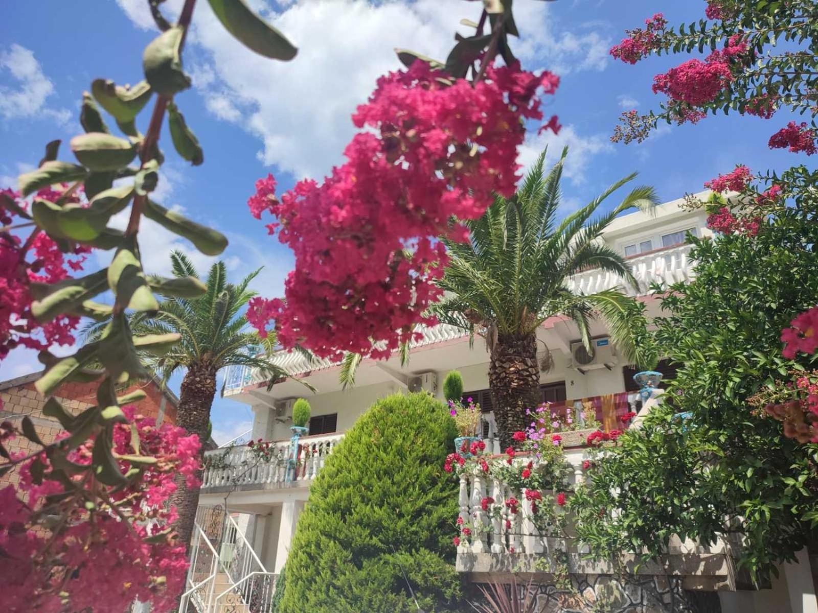 Apartments Radonjic Budva Zewnętrze zdjęcie