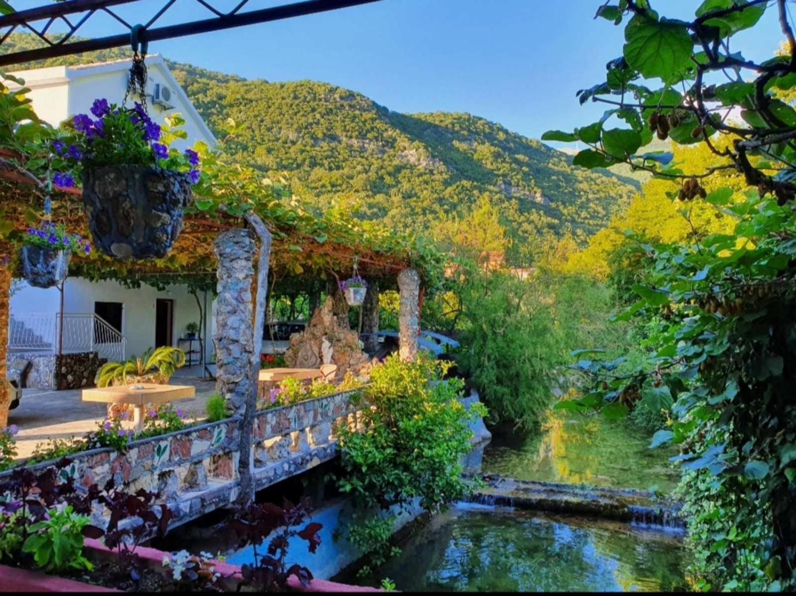 Apartments Radonjic Budva Zewnętrze zdjęcie