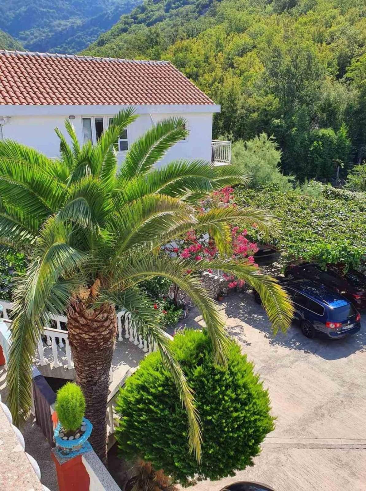 Apartments Radonjic Budva Zewnętrze zdjęcie