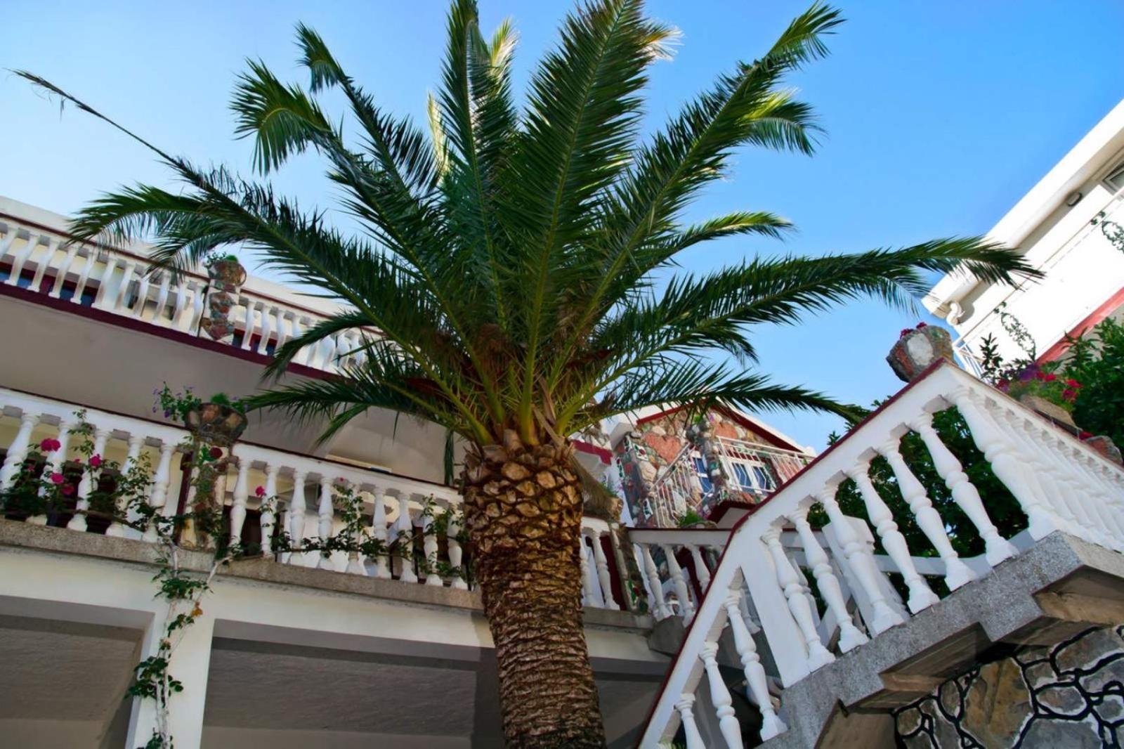 Apartments Radonjic Budva Zewnętrze zdjęcie