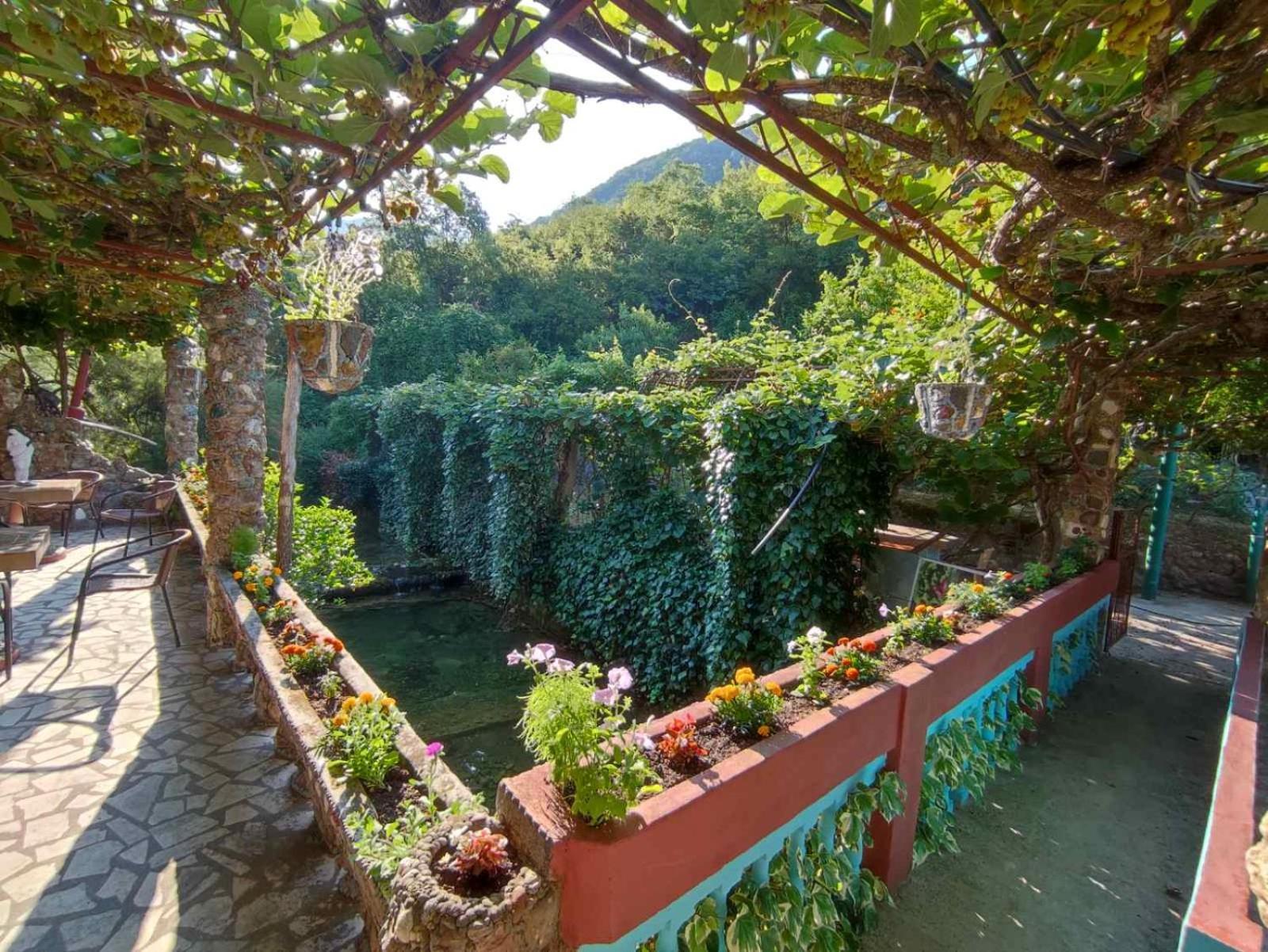 Apartments Radonjic Budva Zewnętrze zdjęcie